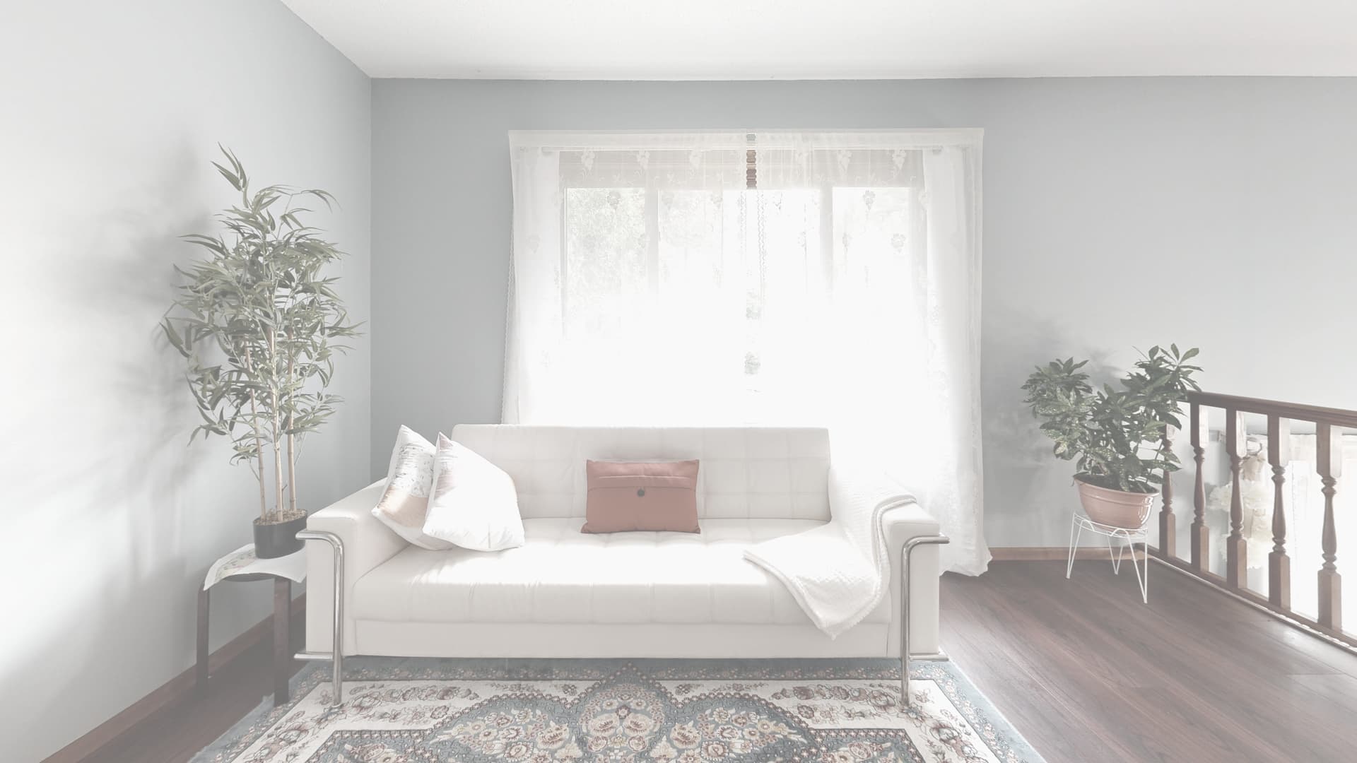 A bright, airy living room with pale hardwood flooring and abundant natural light